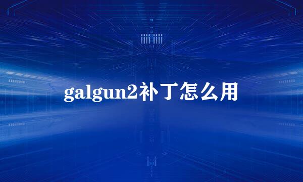 galgun2补丁怎么用