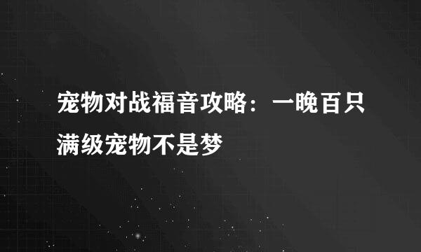 宠物对战福音攻略：一晚百只满级宠物不是梦