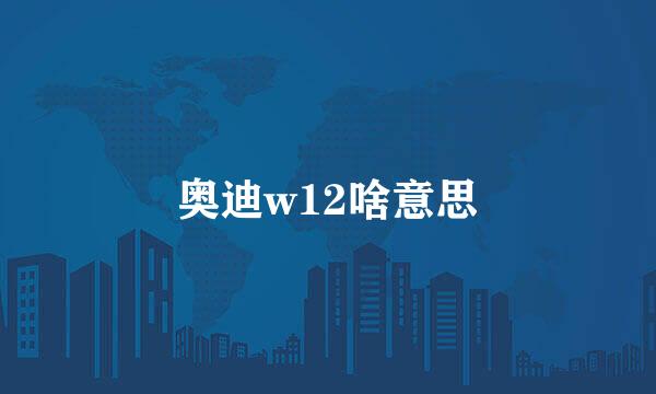 奥迪w12啥意思