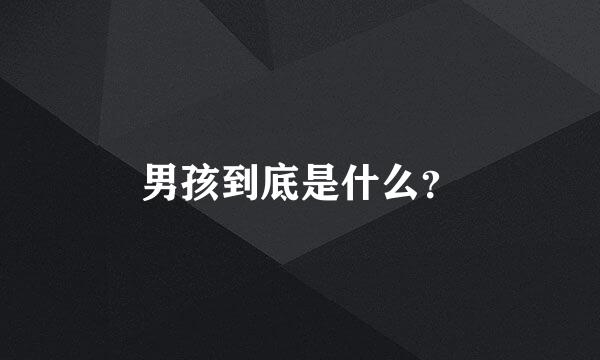 男孩到底是什么？