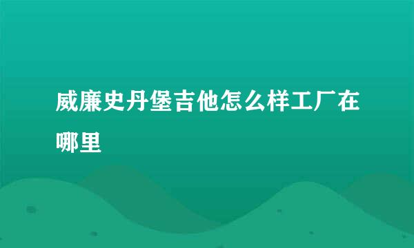 威廉史丹堡吉他怎么样工厂在哪里