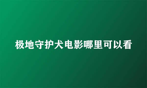 极地守护犬电影哪里可以看