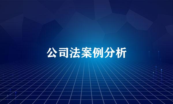 公司法案例分析