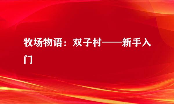 牧场物语：双子村——新手入门