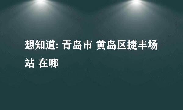 想知道: 青岛市 黄岛区捷丰场站 在哪