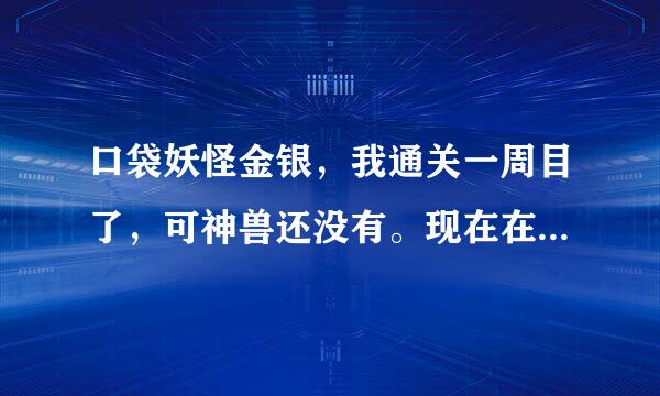 口袋妖怪金银，我通关一周目了，可神兽还没有。现在在解决发电站事件。求捕捉方法