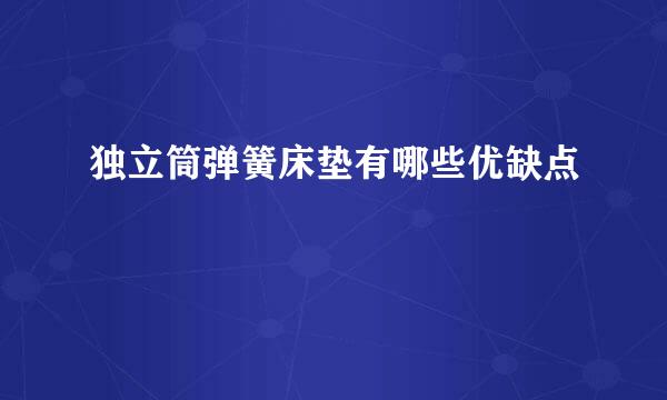 独立筒弹簧床垫有哪些优缺点