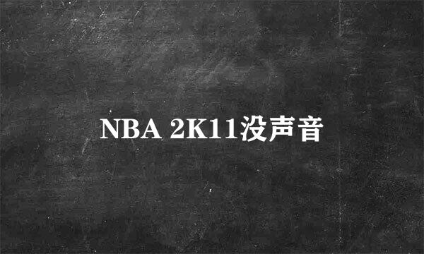 NBA 2K11没声音