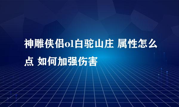 神雕侠侣ol白驼山庄 属性怎么点 如何加强伤害