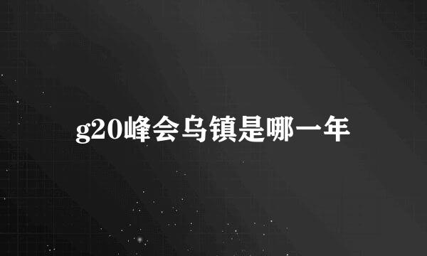 g20峰会乌镇是哪一年