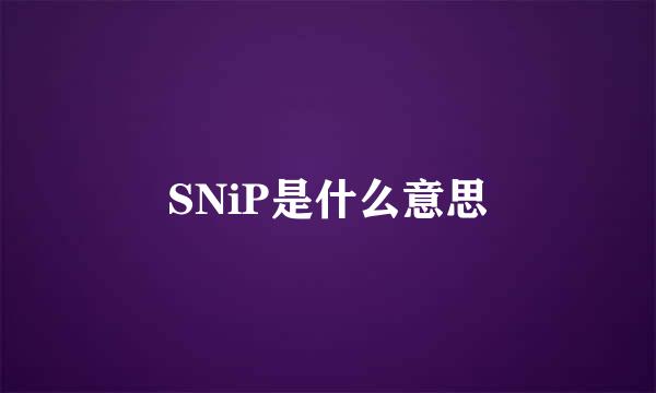 SNiP是什么意思