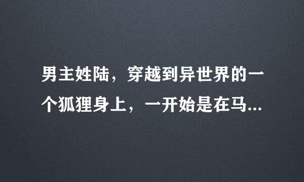 男主姓陆，穿越到异世界的一个狐狸身上，一开始是在马车上，同事男主具有陆家和九尾妖狐的血脉