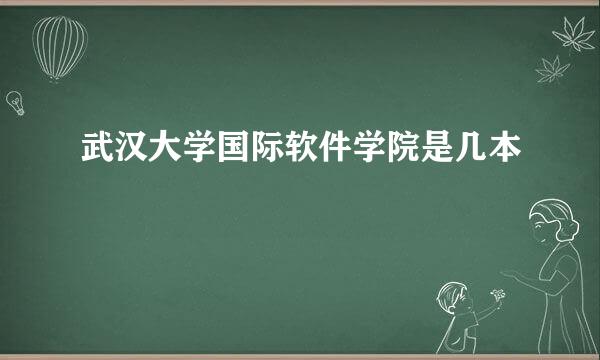 武汉大学国际软件学院是几本