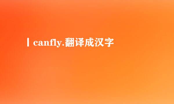 丨canfly.翻译成汉字