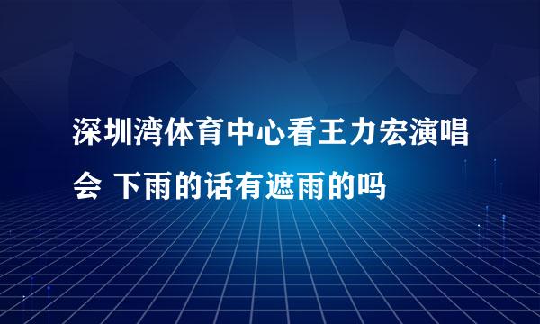 深圳湾体育中心看王力宏演唱会 下雨的话有遮雨的吗