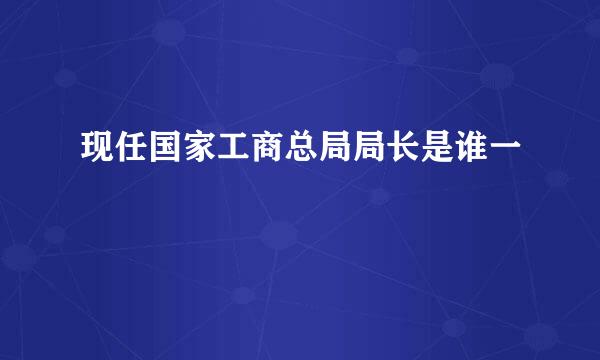 现任国家工商总局局长是谁一