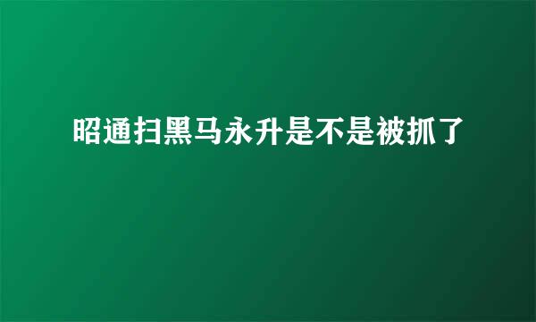 昭通扫黑马永升是不是被抓了