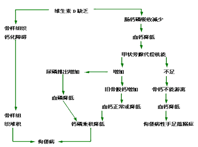 什么是小儿佝偻病