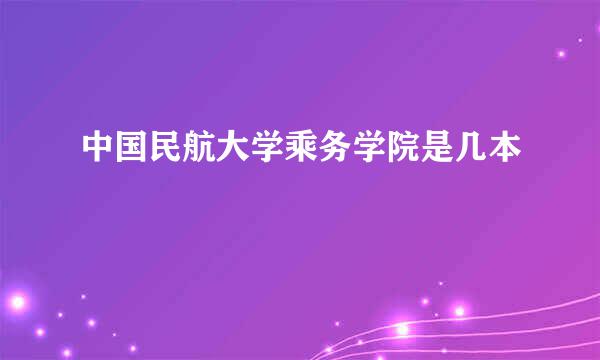 中国民航大学乘务学院是几本