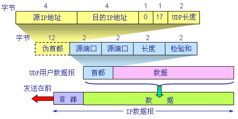 UDP是什么意思?