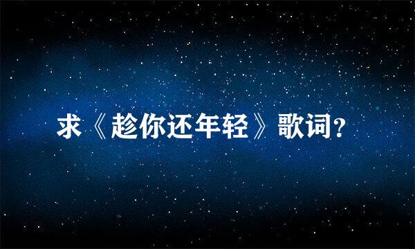 求《趁你还年轻》歌词？