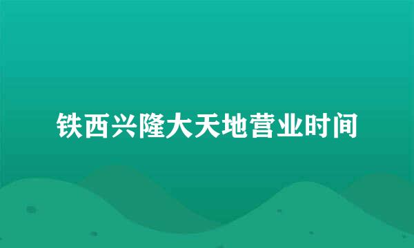 铁西兴隆大天地营业时间