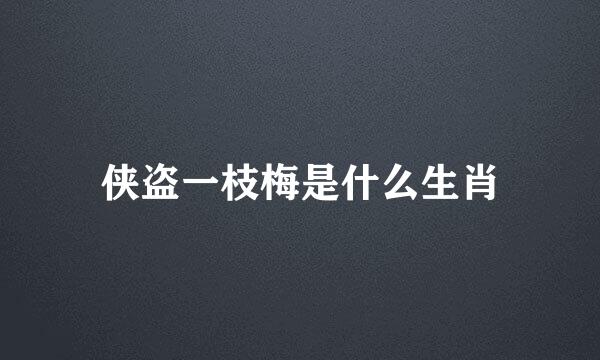 侠盗一枝梅是什么生肖