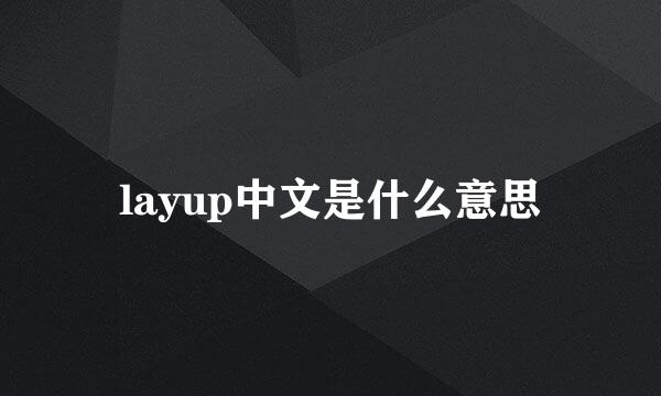 layup中文是什么意思