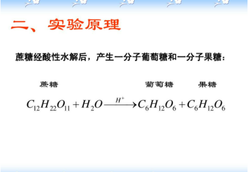 蔗糖水解主要途径