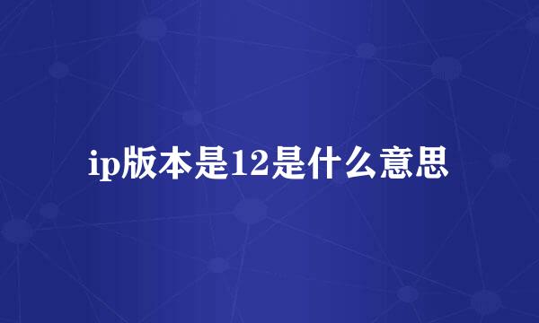 ip版本是12是什么意思