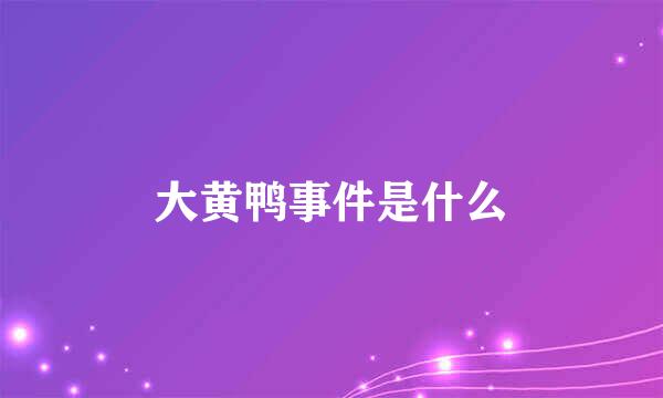 大黄鸭事件是什么