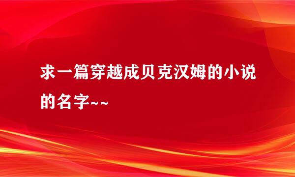 求一篇穿越成贝克汉姆的小说的名字~~