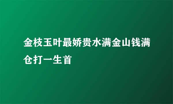 金枝玉叶最娇贵水满金山钱满仓打一生首