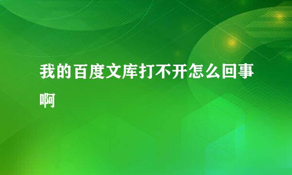 我的百度文库打不开怎么回事啊