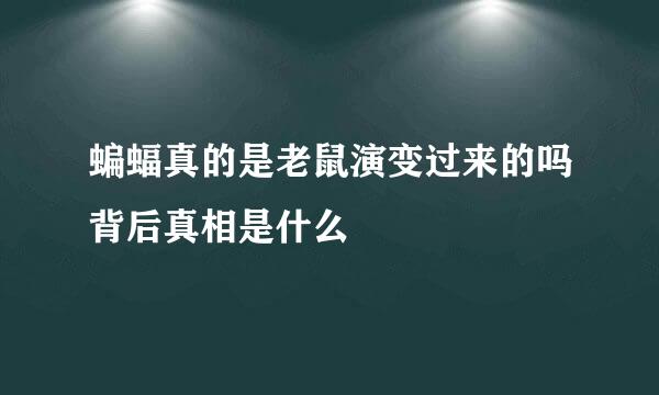 蝙蝠真的是老鼠演变过来的吗背后真相是什么