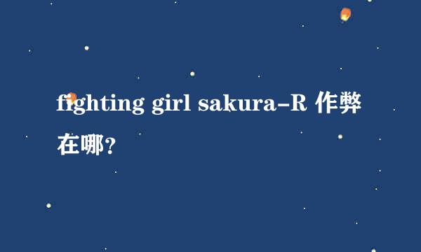 fighting girl sakura-R 作弊在哪？