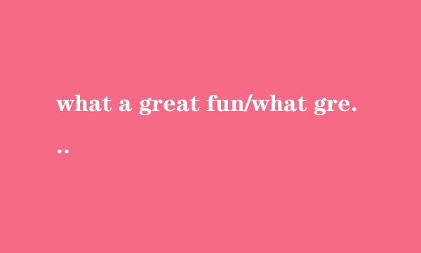 what a great fun/what great fun为什么不可以用how great fun