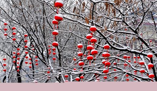 瑞雪兆丰年用英语怎么说