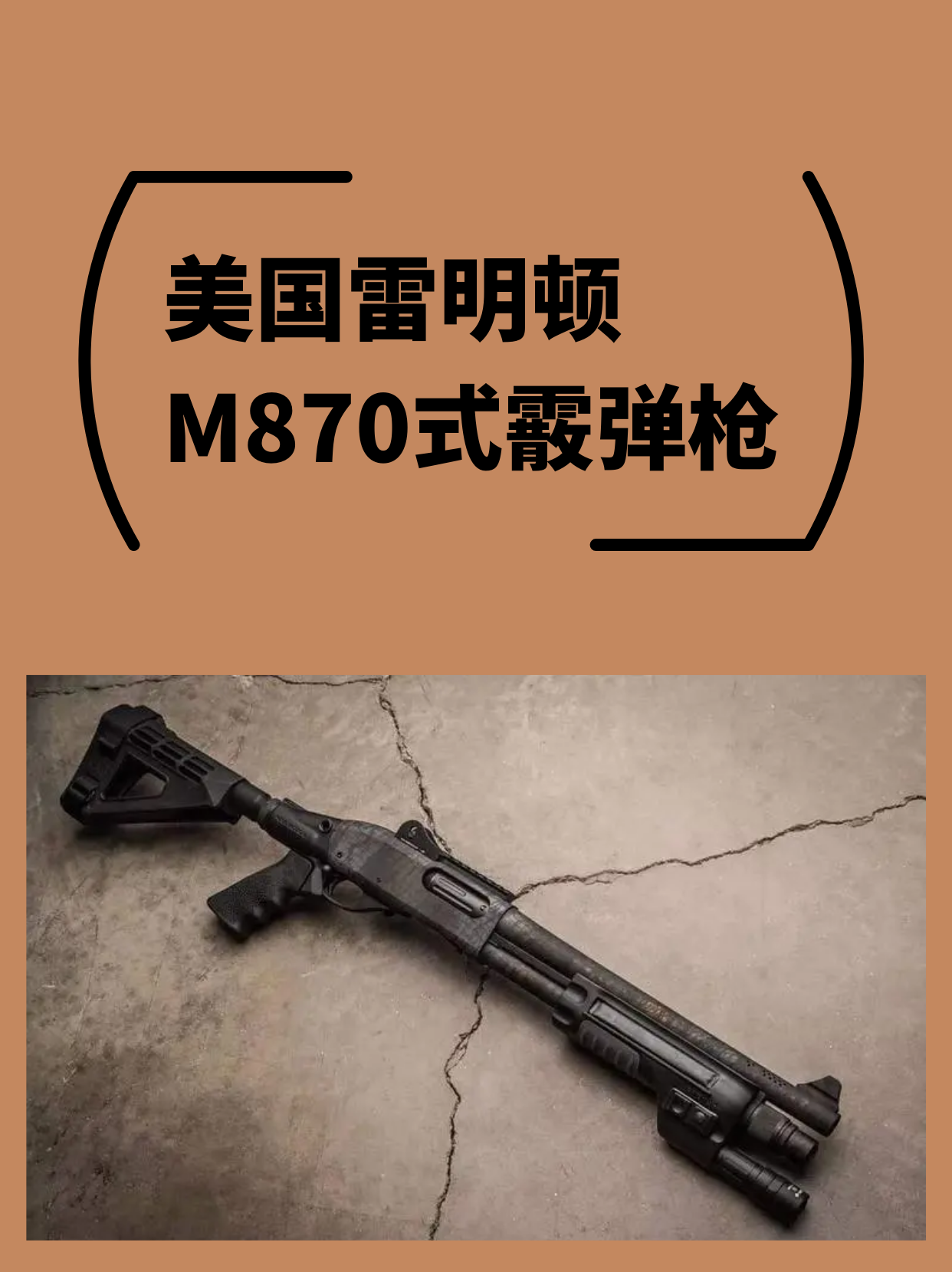 美国雷明顿M870式霰弹枪