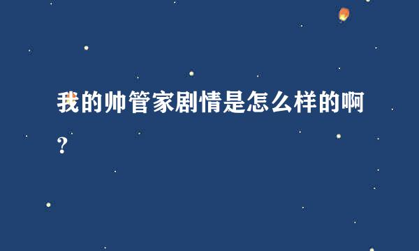 我的帅管家剧情是怎么样的啊？