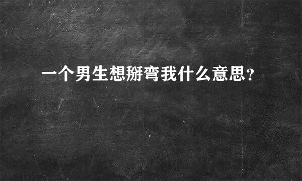 一个男生想掰弯我什么意思？