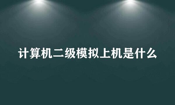 计算机二级模拟上机是什么