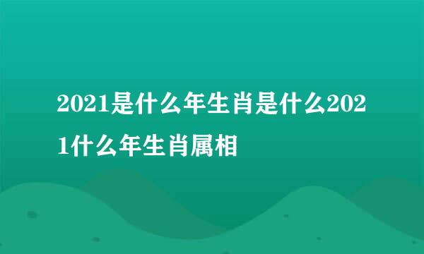 2021是什么年生肖是什么2021什么年生肖属相