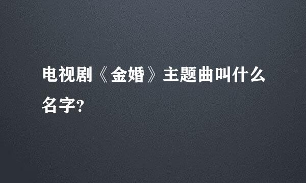 电视剧《金婚》主题曲叫什么名字？