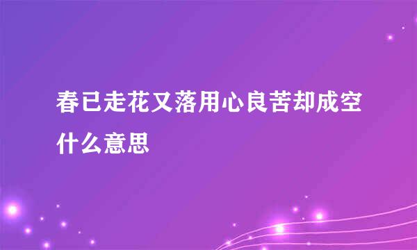 春已走花又落用心良苦却成空什么意思