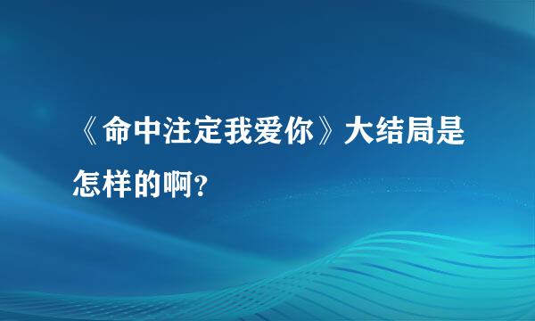 《命中注定我爱你》大结局是怎样的啊？