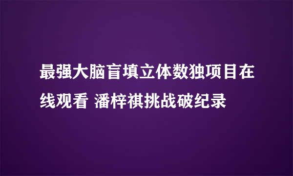 最强大脑盲填立体数独项目在线观看 潘梓祺挑战破纪录