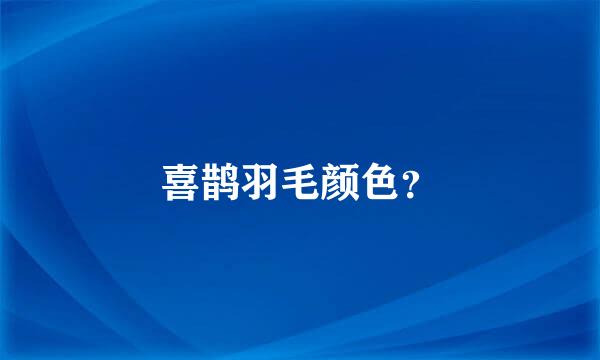 喜鹊羽毛颜色？