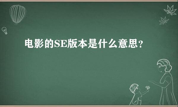 电影的SE版本是什么意思？