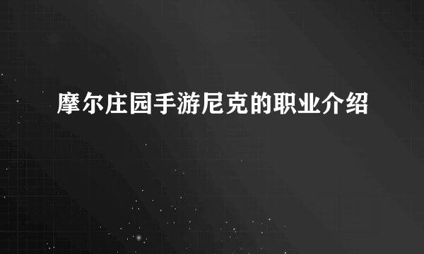 摩尔庄园手游尼克的职业介绍